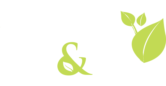 M&B Immobilier